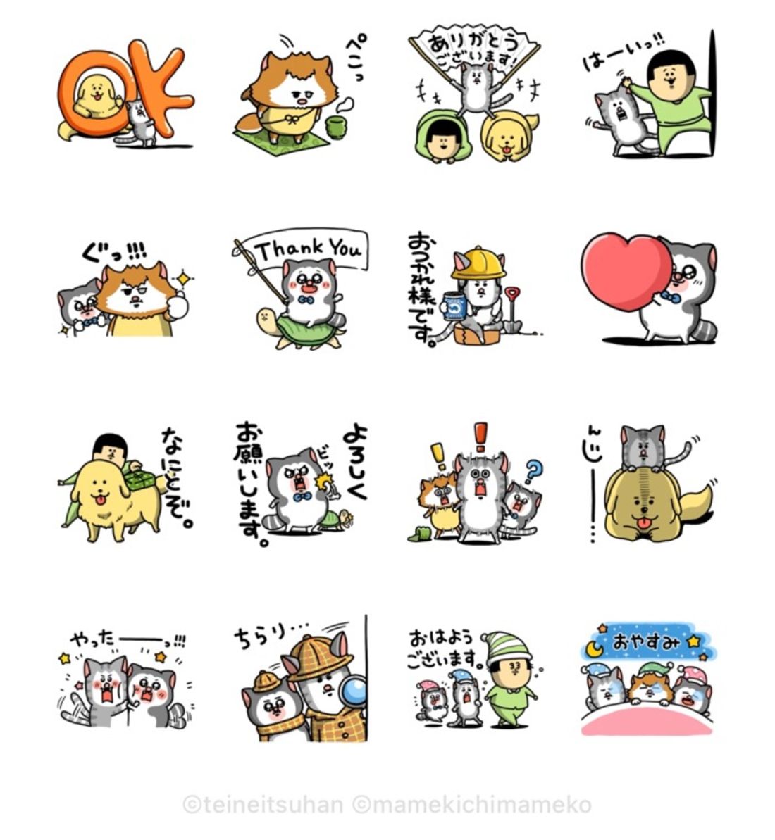 ていねい通販×まめきちまめこ