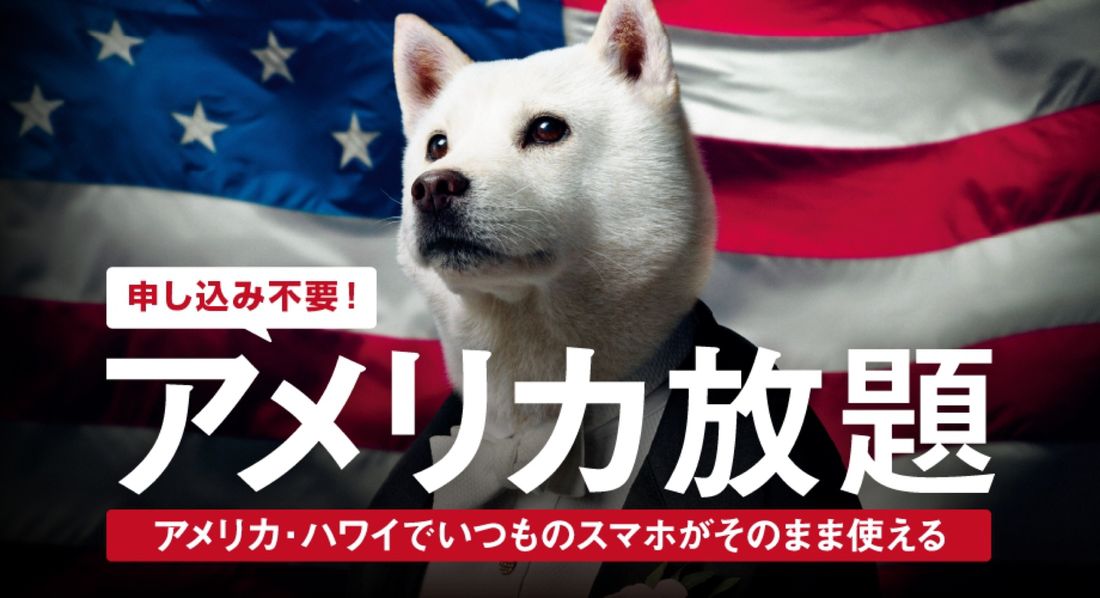 アメリカ放題