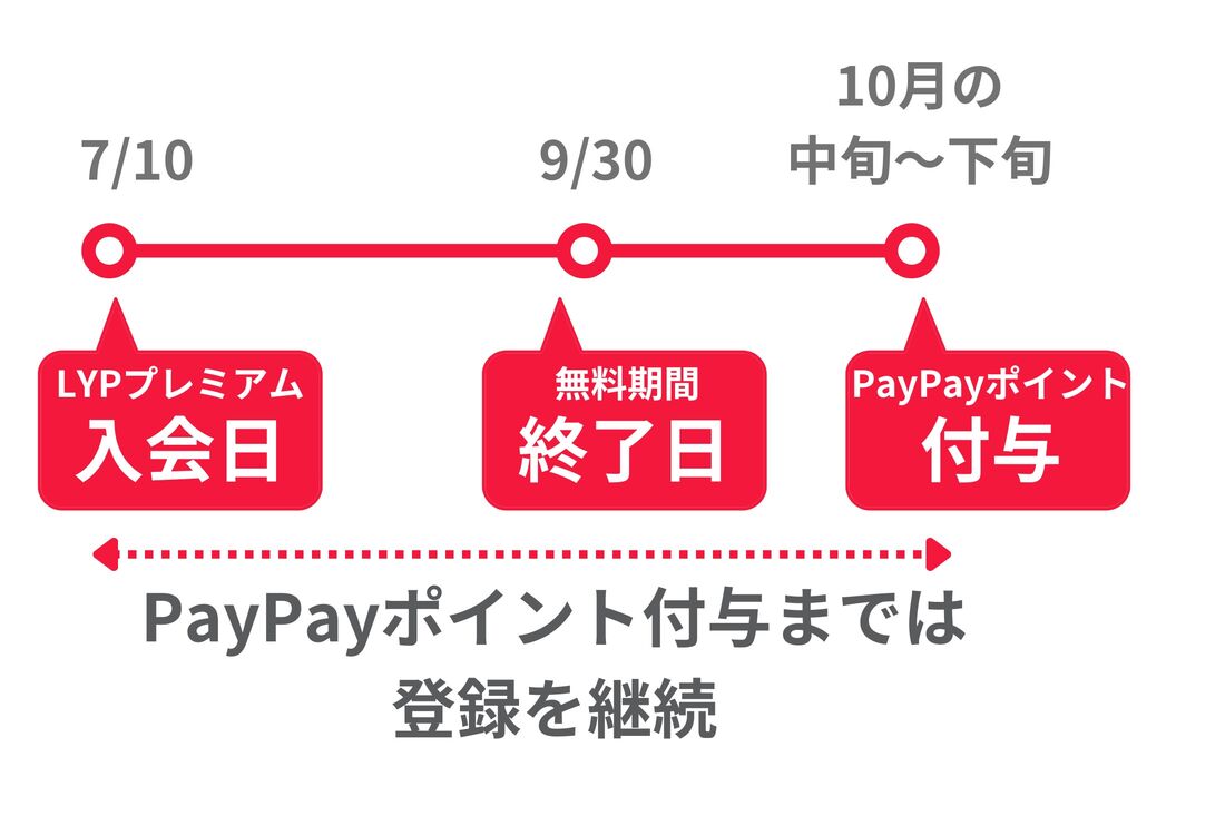 入会からPayPayポイント付与までのスケジュール例