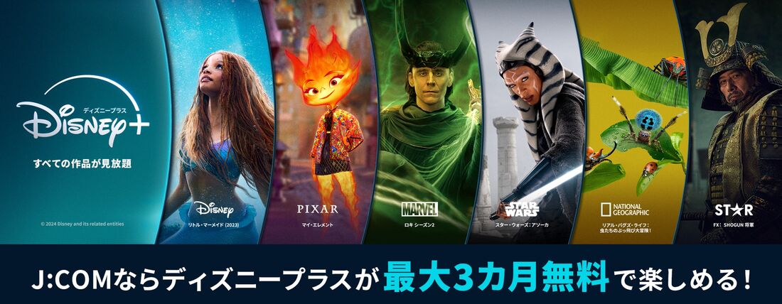 J:COMまとめ請求 for Disney+