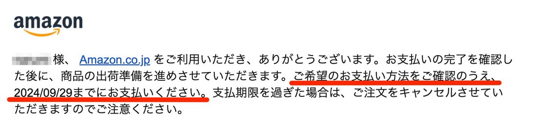 支払いを確認の上支払ってください