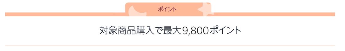 ポイント付与