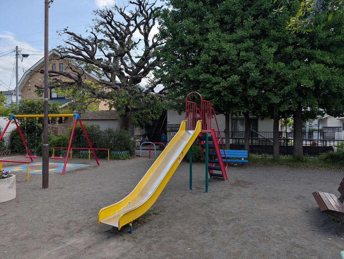 Pixel 9 Pro XL