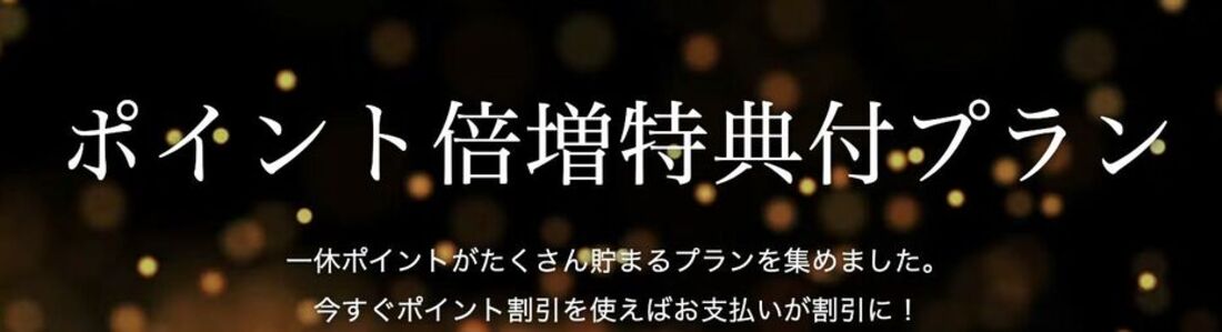 ポイント倍増特典付プラン