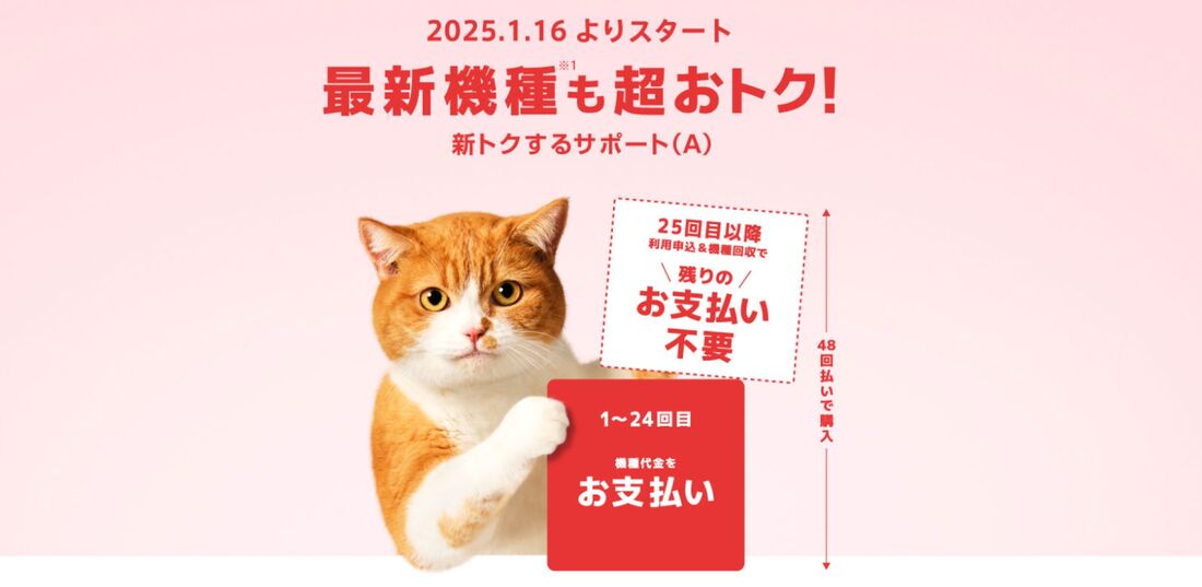 新トクするサポートA