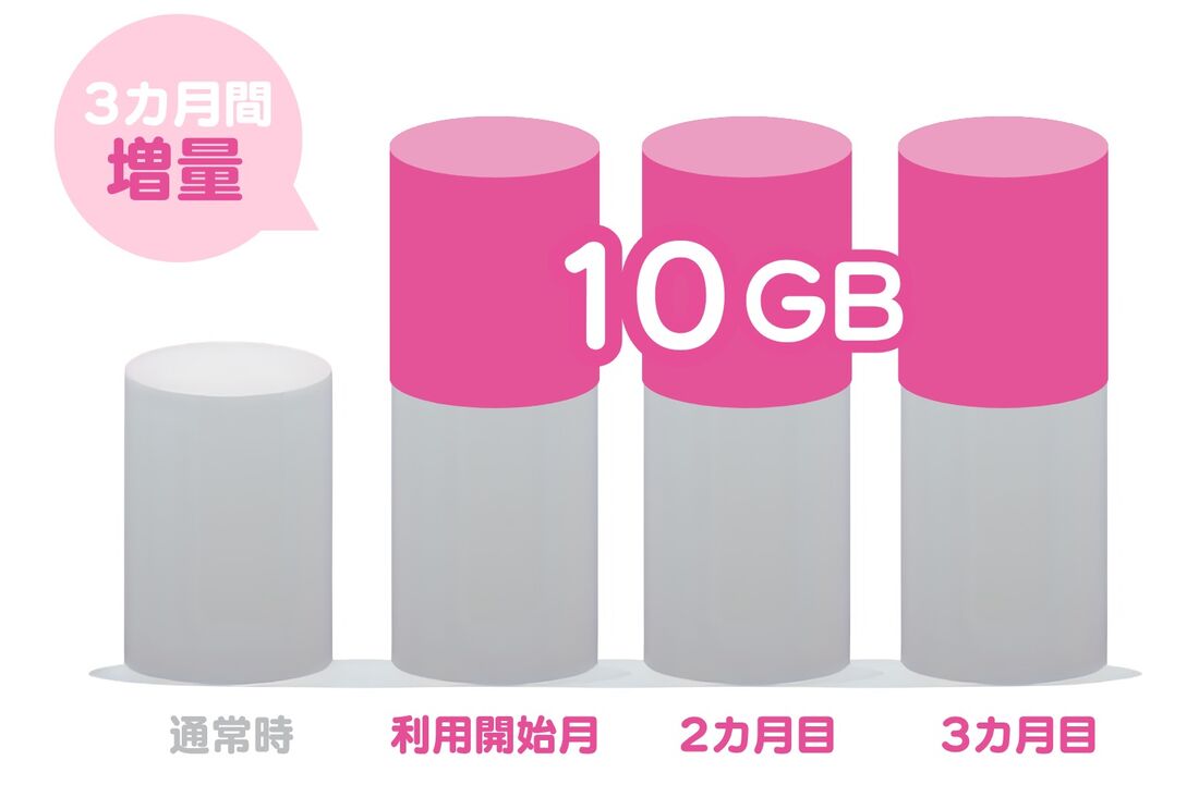 3カ月間 10GB