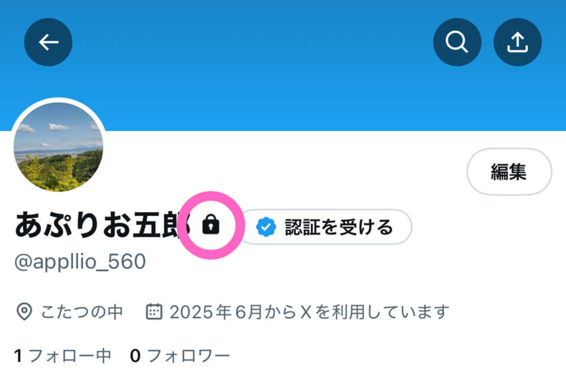 Xプロフィール