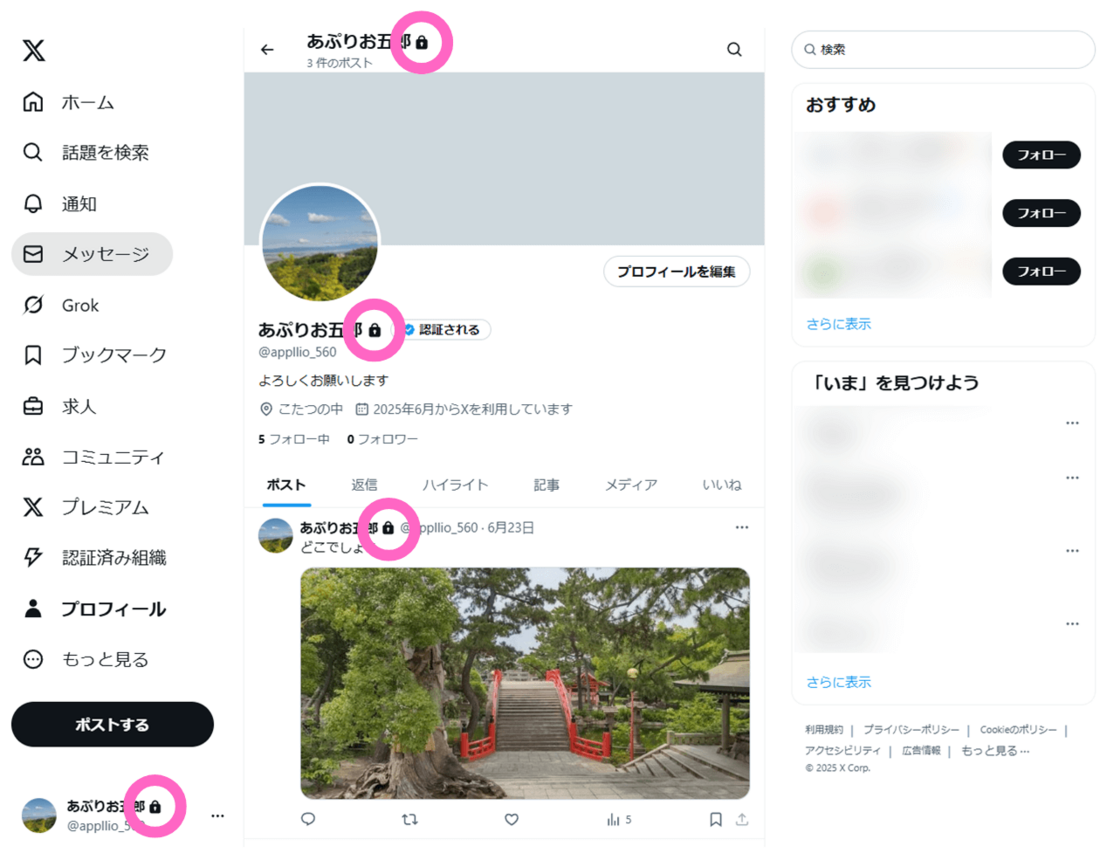Xプロフィール