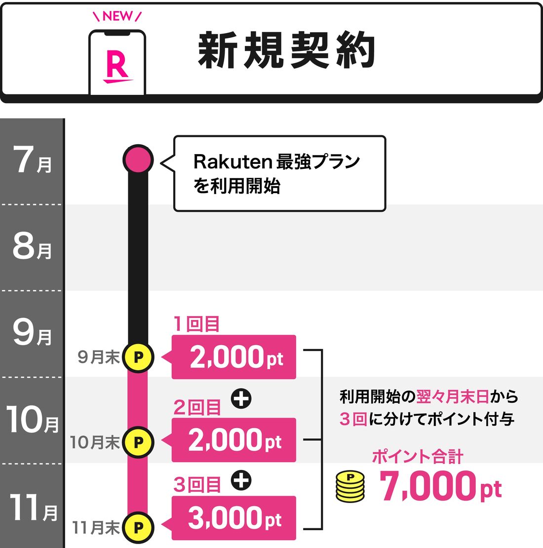 三木谷キャンペーン 新規契約ポイント付与時期
