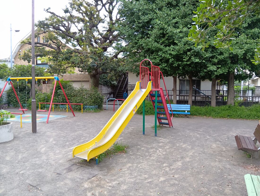 標準の撮影は普通にきれいに撮れる