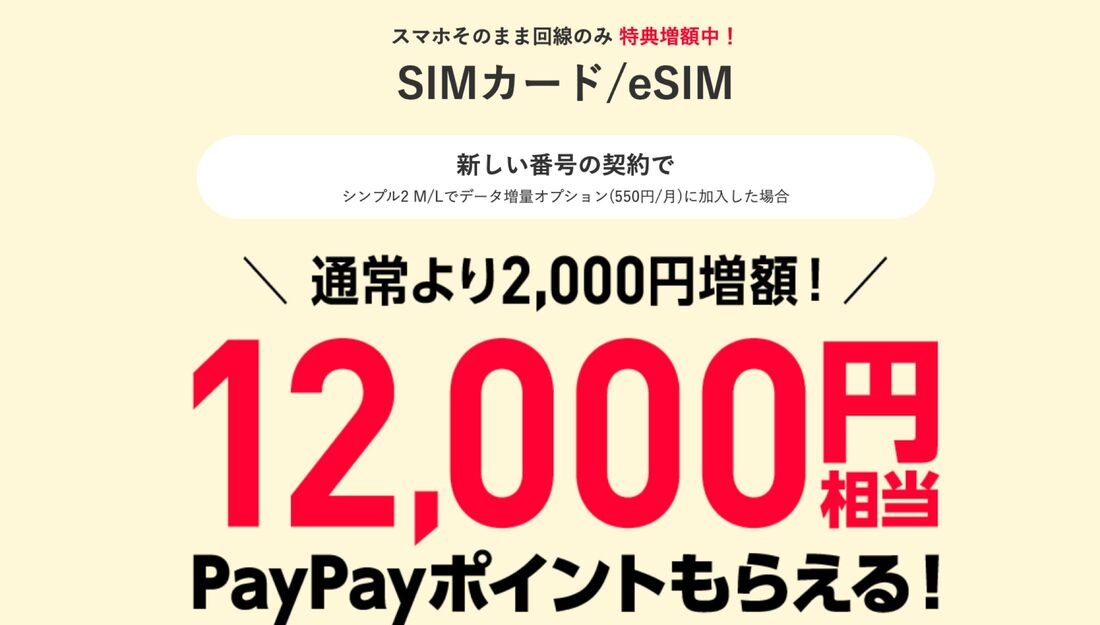2回線目のキャンペーン