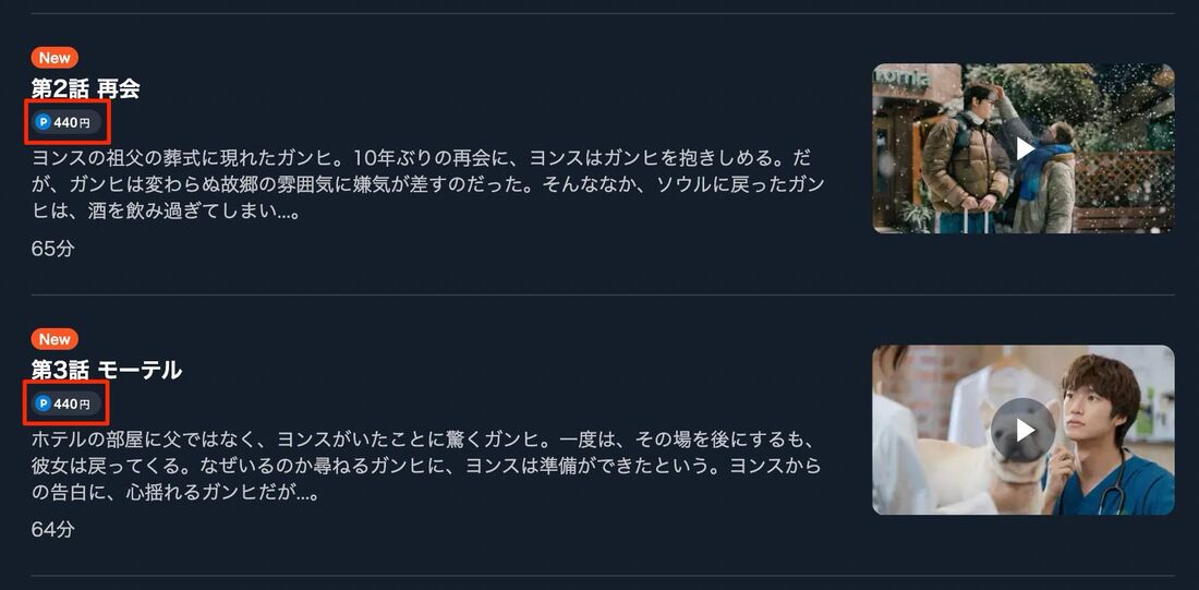 最新作などは毎月付与されるポイントを利用して視聴
