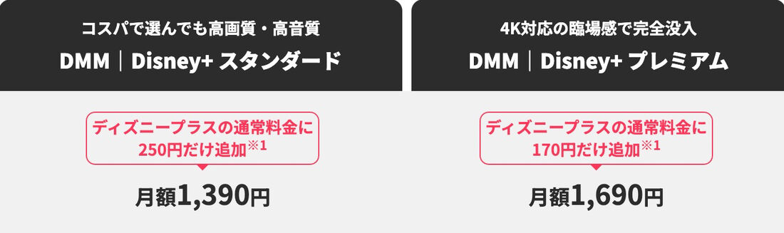 ディズニープラス　DMM セットプラン