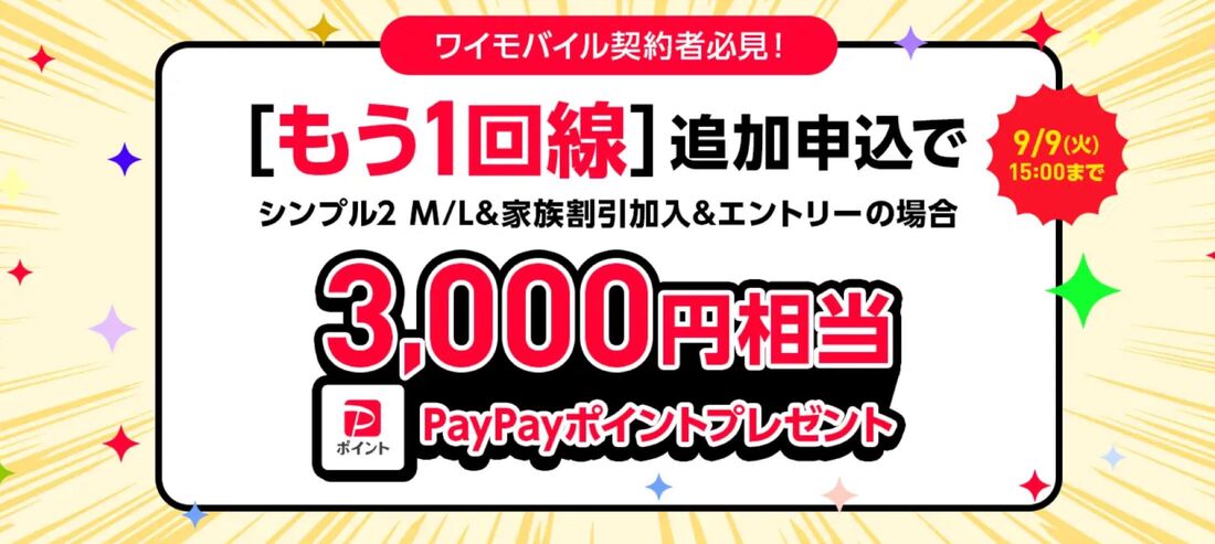 2回線目申し込みキャンペーン