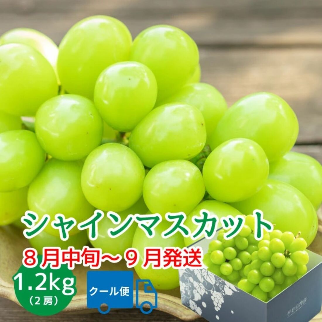 シャインマスカット 【2025年発送】 山梨 2房 1.2kg