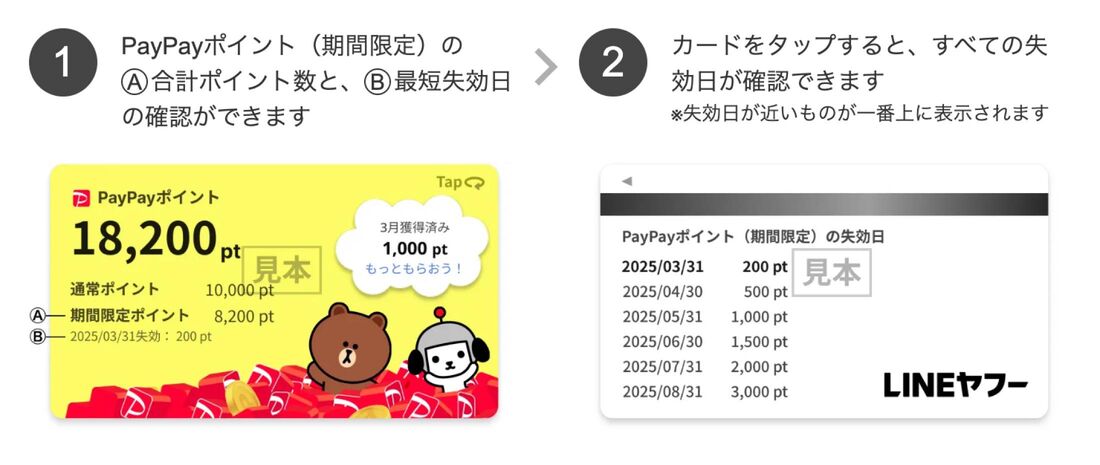 PayPayポイント(期間限定)