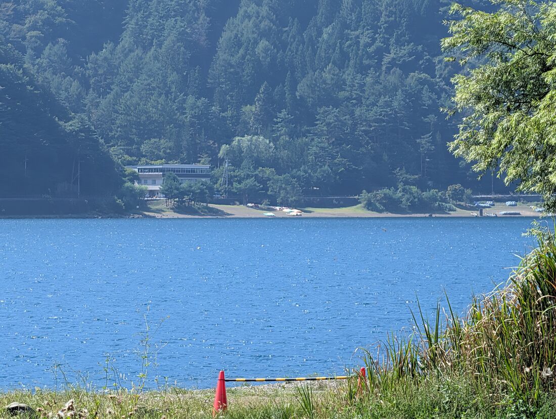 ズーム前