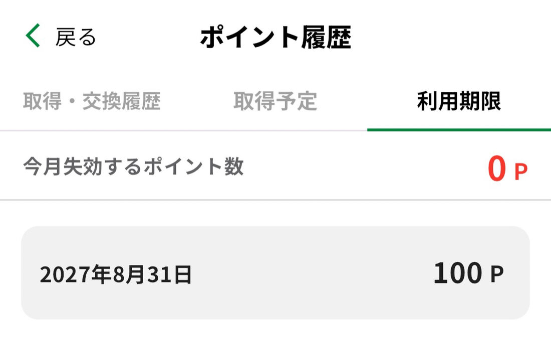 利用期限に注意
