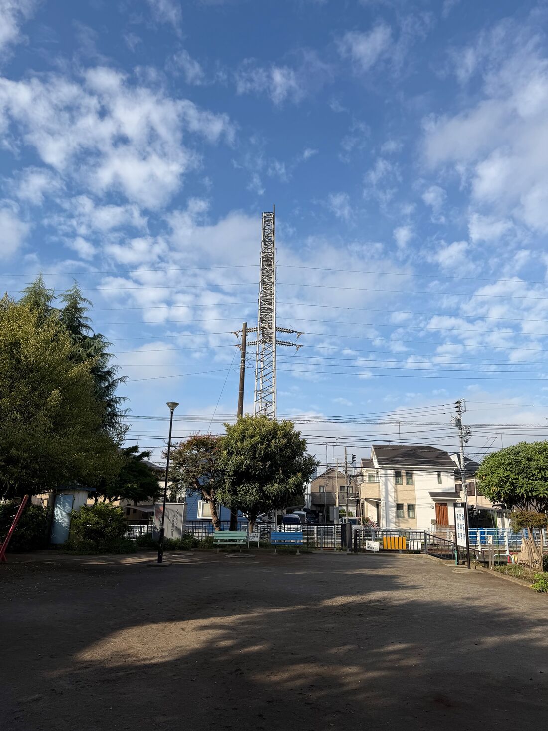 標準撮影