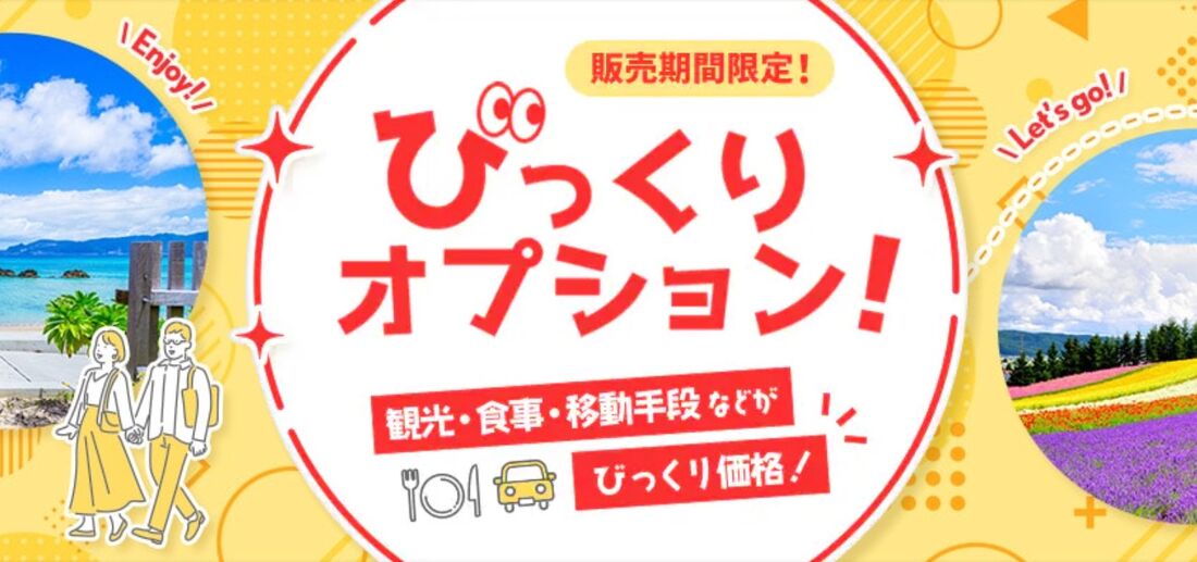 びっくりオプション