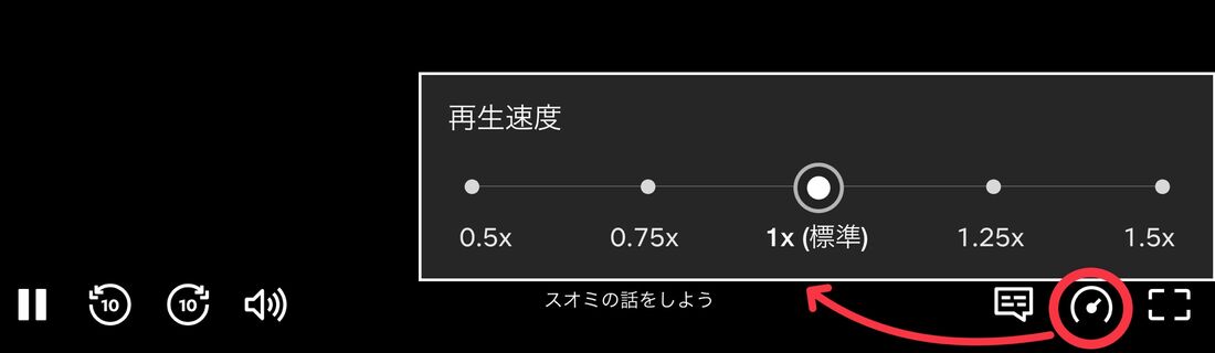 Netflix ブラウザ