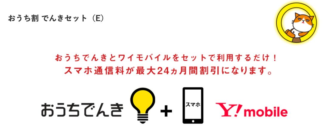 おうち割 でんきセット（E）