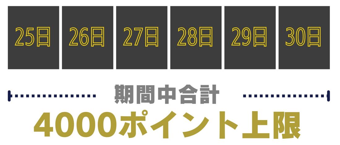 ブラックフライデー
