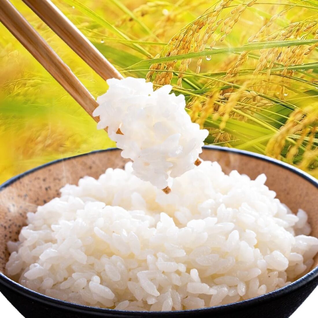 【12ヶ月定期便】熊本県産 ブレンド米 くまもとあっぱれ米 白米 5kg