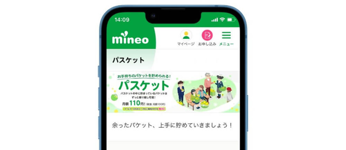 パスケットイメージ