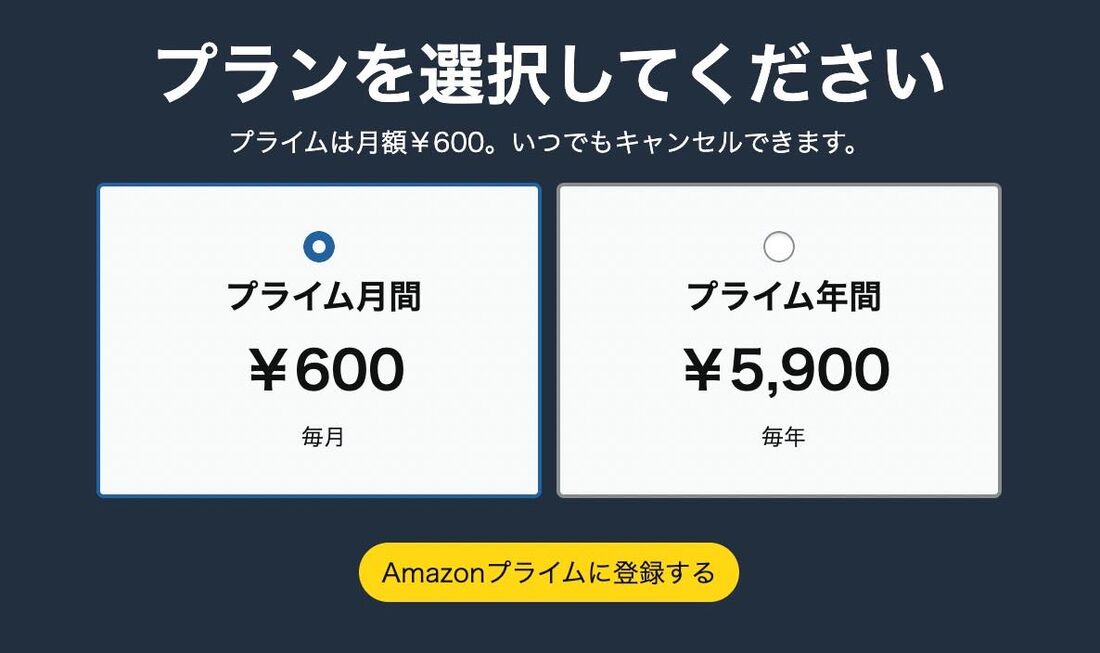 10カ月以上使うつもりなら年間プランがお得