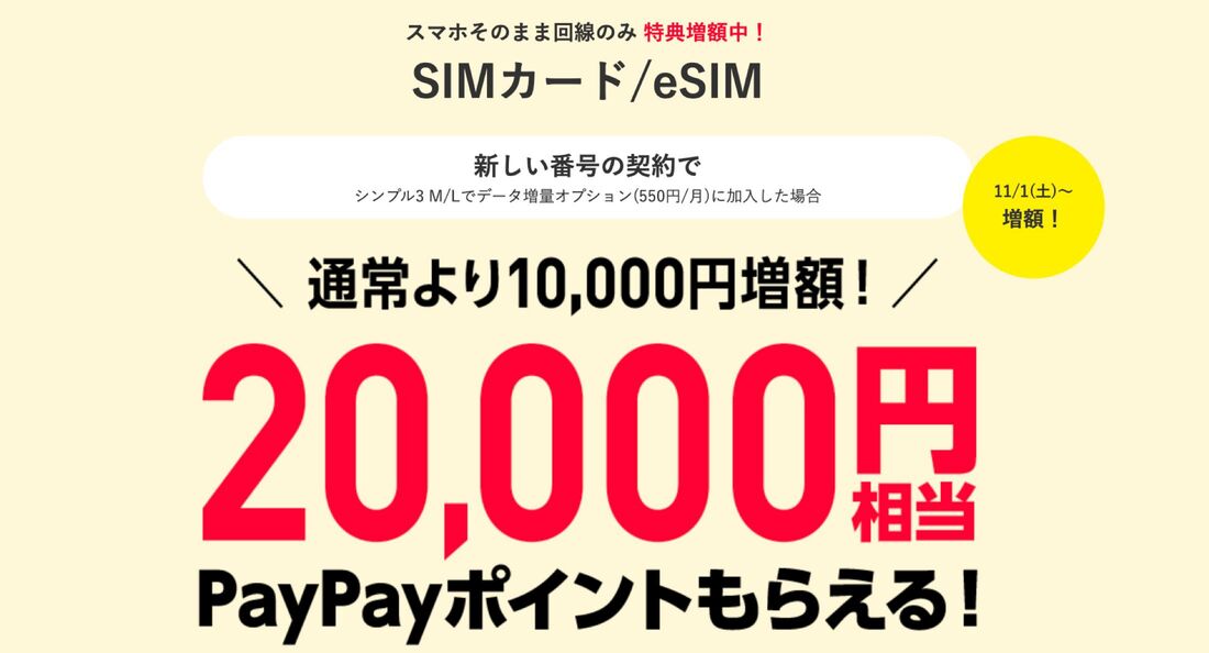 2回線目キャンペーン