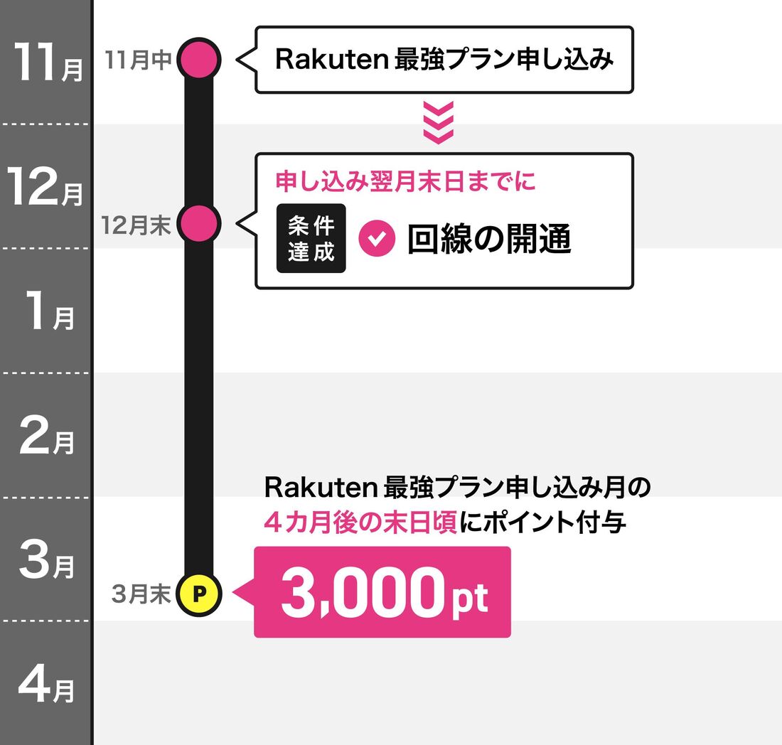 3000ポイント付与日