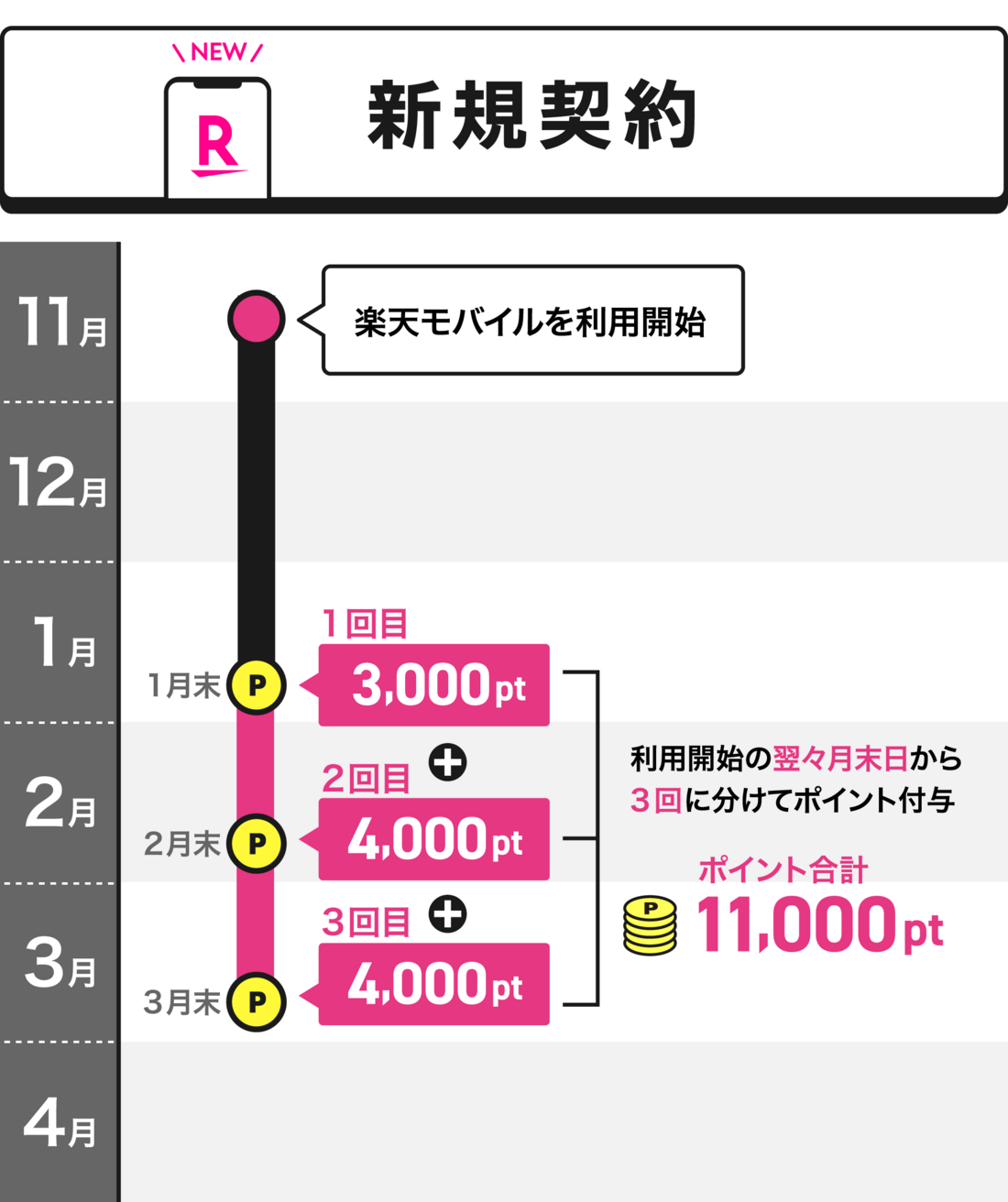 三木谷キャンペーン ポイント付与時期 新規契約