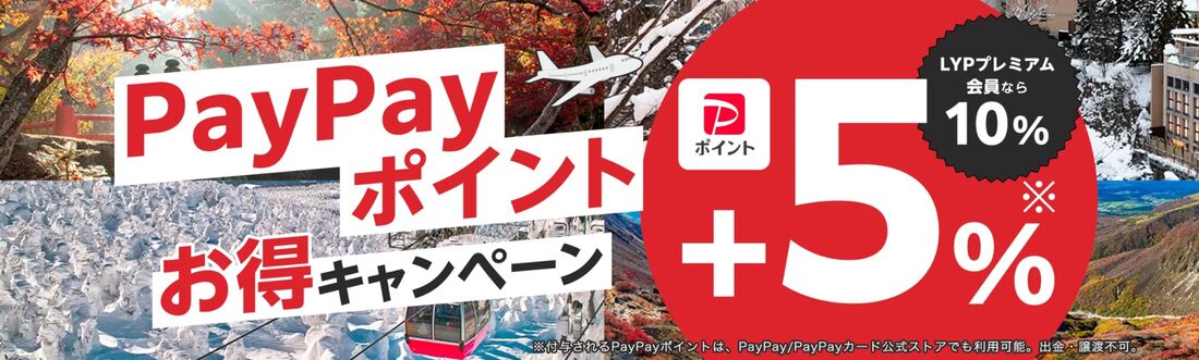 過去のPayPayお得キャンペーン