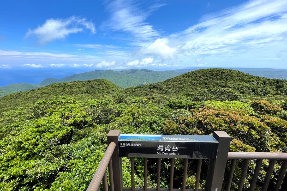 JALが鹿児島の世界自然遺産を旅するツアーを販売中