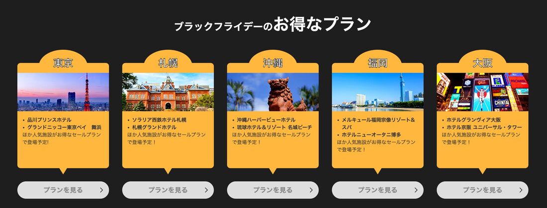 ブラックフライデー限定セールプラン