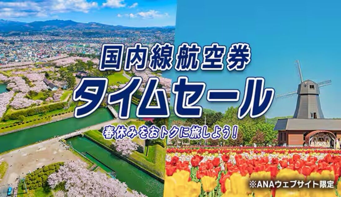 WEB限定！国内線航空券タイムセール