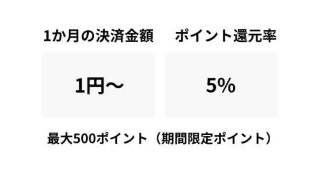 ポイントアップ　あと払いペイディ