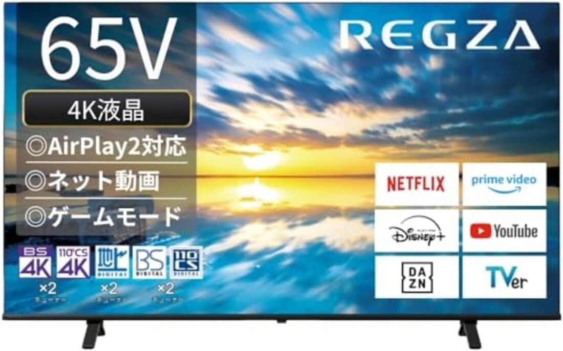 REGZA レグザ テレビ 65E350M 65インチ（2023年モデル）