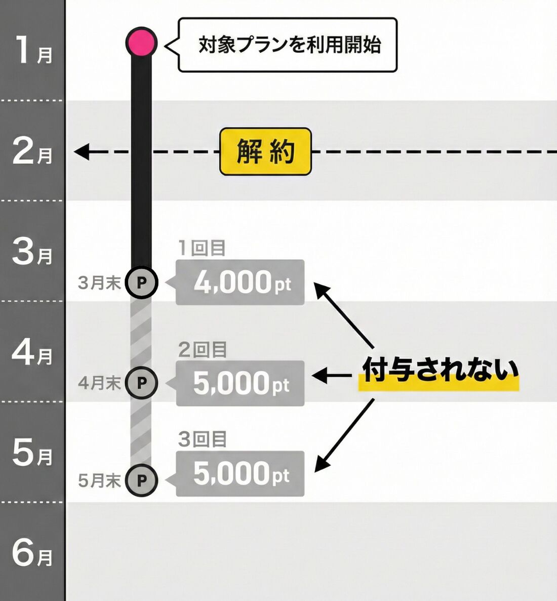三木谷キャンペーン　ポイント付与されない