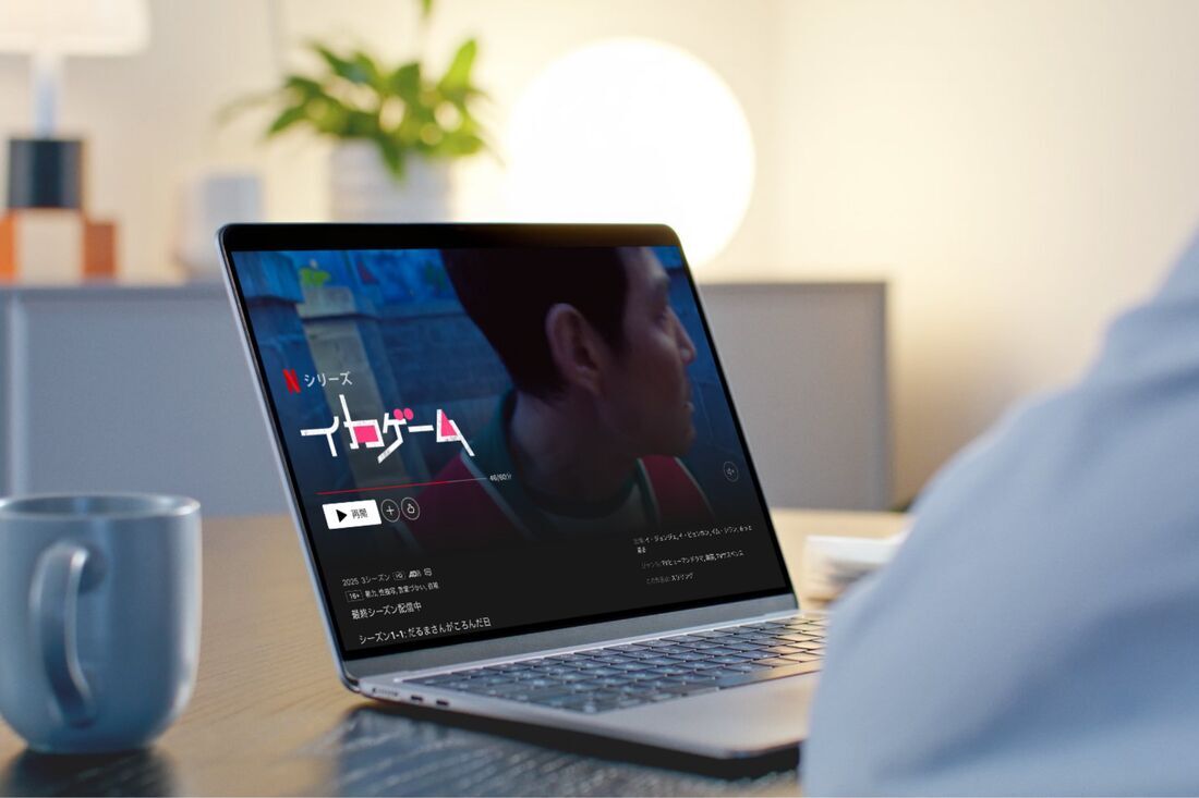 Netflix 視聴イメージ
