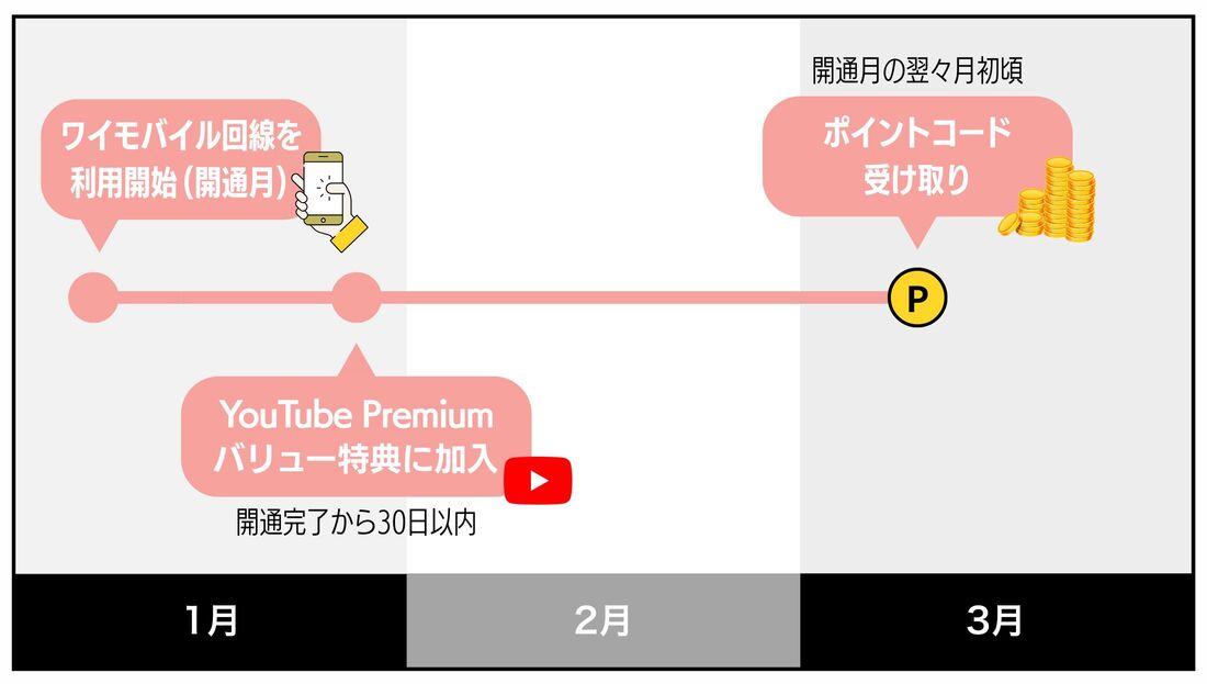 SIM契約シークレットキャンペーンのポイント付与時期
