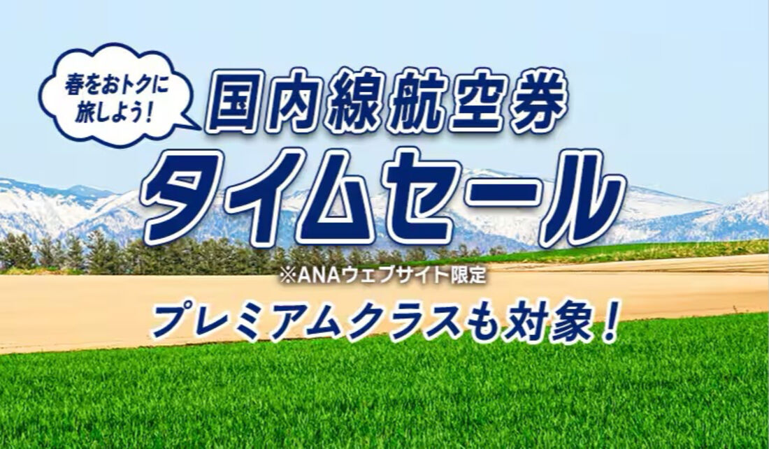国内線航空券タイムセール