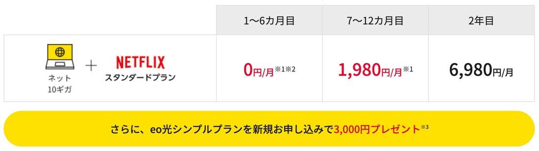 eo光シンプルプラン Netflixパック