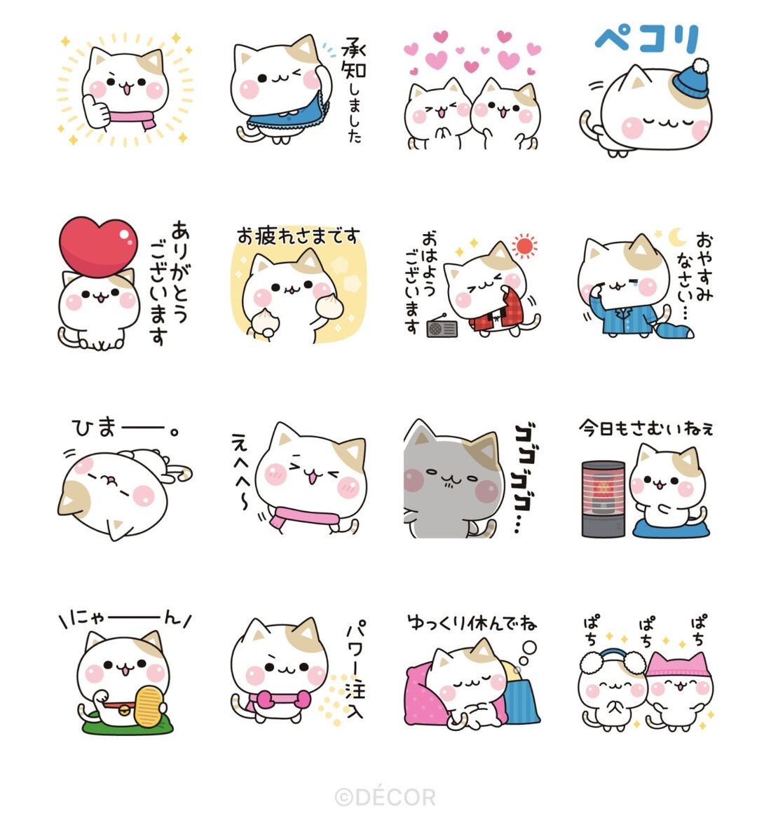 気づかいのできるネコ×LINEポケットマネー