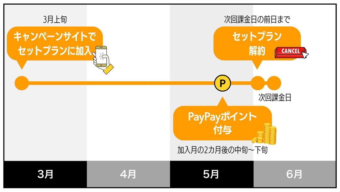 キャンペーンのポイントが付与されたら次回課金日の前日までに解約する