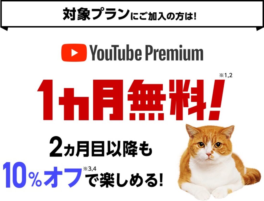 ワイモバイル　YouTubeプレミアム特典