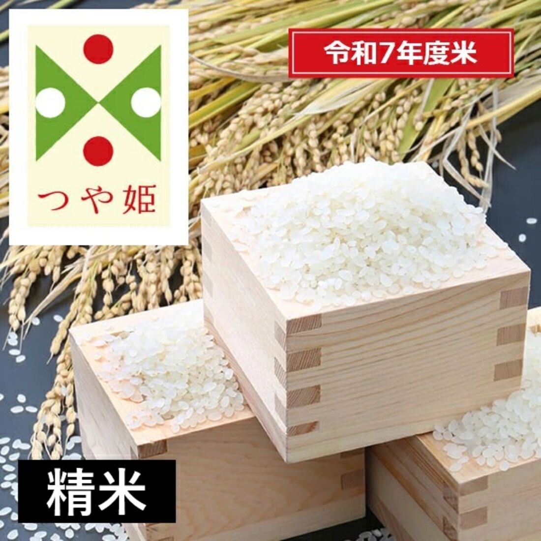 令和7年度産 山形県産つや姫