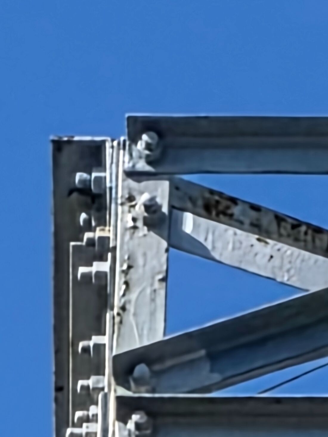 100倍ズームはさすがにぼんやりする