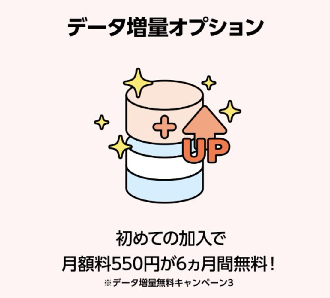 データ増量オプション